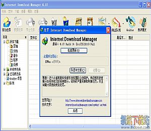 Internet Download Manager(ie下载加速)