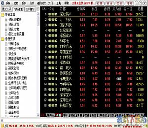 国元证券领航网上证券交易系统