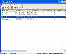 PingInfoView(批量ping工具)绿色版