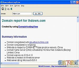 DomainHostingView(网站dns查询软件)