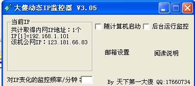 大傻动态IP监控器