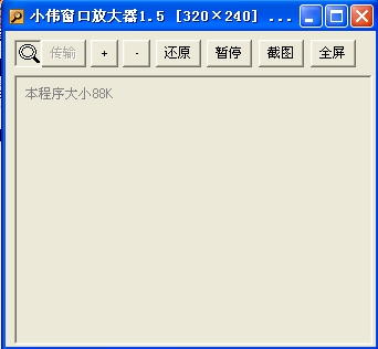 小伟视频窗口放大器