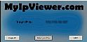 本机ip查看工具 MyIPViewer