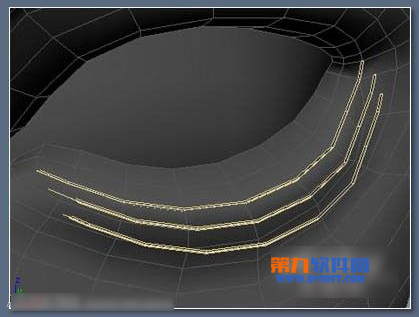 3dsMax绘制逼真眼睫毛教程