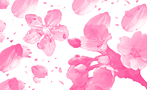 樱花花瓣ps笔刷_photoshop常用笔刷