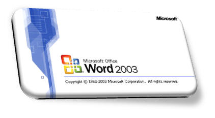 word2003精简版