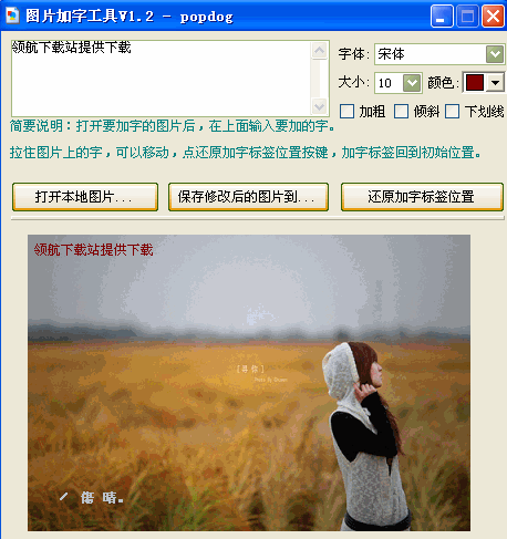 图片加字小软件