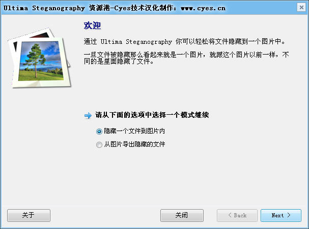 把文件隐藏到图片里(Ultima Steganography)
