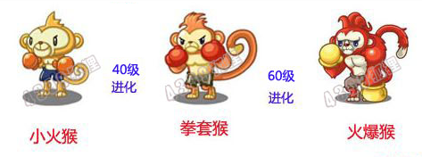 洛克王国小东辅助官方最新版