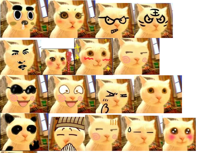 可怜猫猫变形记QQ表情包