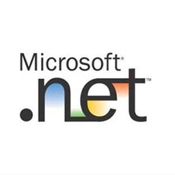 .NET Framework 1.0