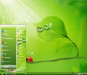 清新绿色自然xp桌面主题