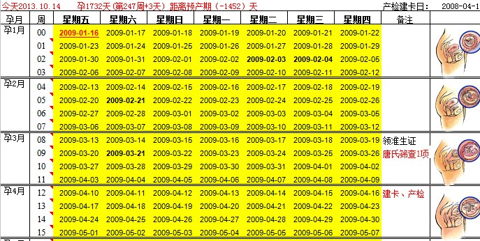 怀孕周期表 Excel版