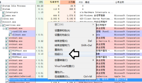 ProcessExplorer汉化版(应用监控软件)