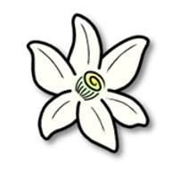 azahar模拟器手机版