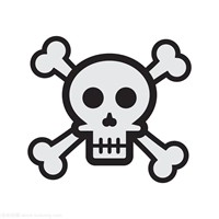 骷髅头直装2025最新版本